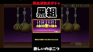 熱血運動会黒組欲しいのは新規ふたつ＃にゃんこ大戦争＃熱血運動会＃ガチャ