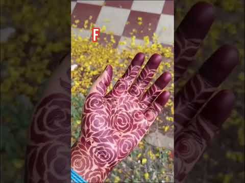 Henna Powder Sojat Rajasthan