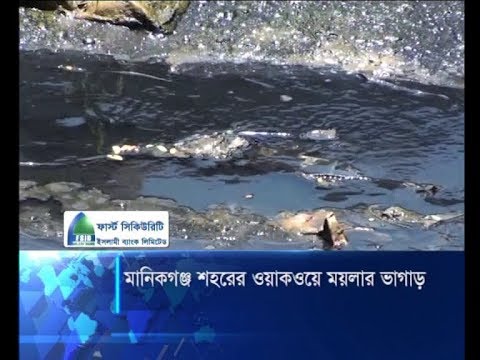 মানিকগঞ্জর শহরের ওয়াকওয়ে ময়লার ভাগাড় | ETV News