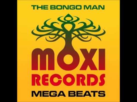 The Bongo Man - Big Cat Dub (Original Mix)