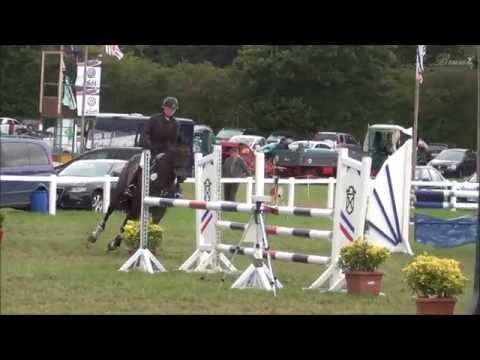 Turniervideo Carsandra zum Verkauf