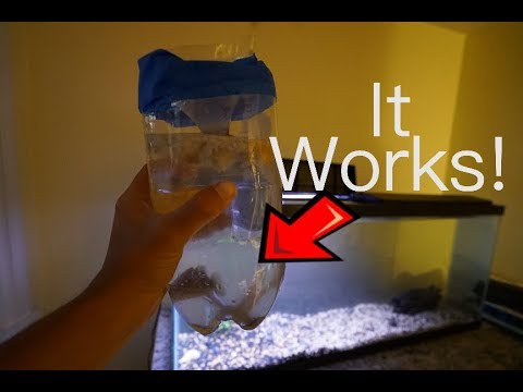 DIY Creek Fish Trap - FIRST FISH TANK ADDITION