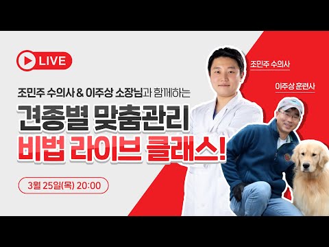 , title : '견종별 맞춤영양&관리 비법 라이브 클래스'