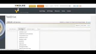 How to Use the Yodlee Interactive Test Drive Tool
