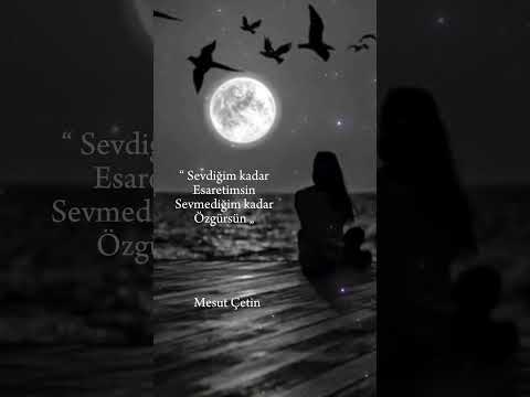 Herkesi Özgür Bıraktım | Mesut Çetin