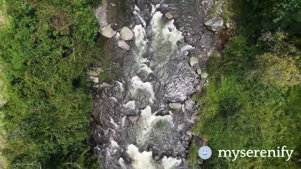 Exploring Meditation in Magic: The Gathering