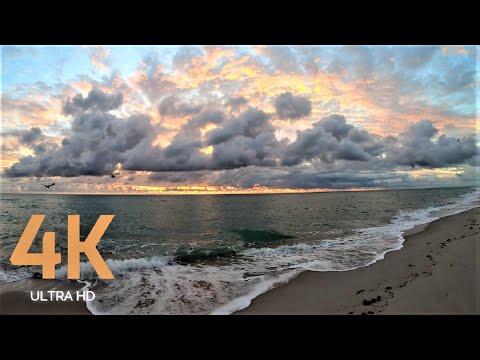 4K RELAXATION ULTRA HD 60 FPS VIDEO CLOUDY SUNRISE IN SOUTH BEACH USA 2019 AΩ