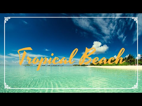 Waves Rolling on Tropical Beach ▶ 4 HOURS  ◀ RELAXING Ocean Sounds for SLEEP 2020 🌊⛱️