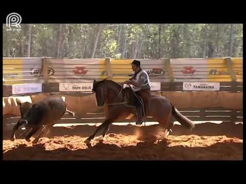 Classificatória Sapucaia (RJ) – 2° lugar machos – Pampeiro dos Três Pinhais (Prova: Mangueira II)