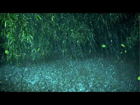 Beat Tinnitus with Heavy Rain on Lake, Calm Thunder in Deep Forest - Real Rain Sounds for Sleeping
