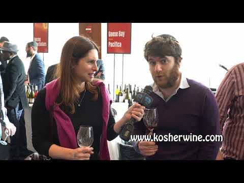 Tripping Kosher - David Babinet ,kosherwine com, Tzafona Cellars