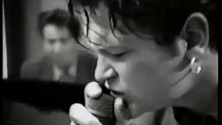 The port  of Amsterdam covered by Gavin Friday