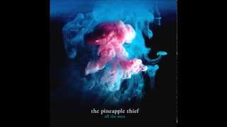 The Pineapple Thief - Give It Back + Lyrics