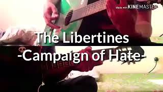 The Libertines - Campaign of Hate acoustic cover