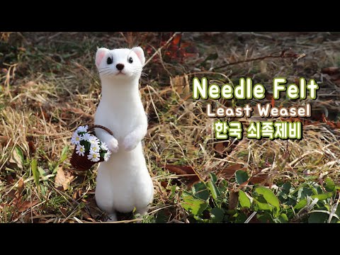 , title : '니들펠트 양모펠트로 하얀 쇠족제비를 만들었어요!-Needlefelt Least Weasel DIY'