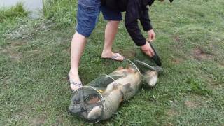 Куда поехать на рыбалка в ростовской области