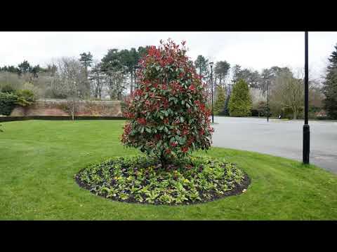 Slideshow for Easter - Pentrebychan Crematorium April 2021