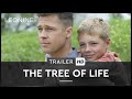 THE TREE OF LIFE Trailer Deutsch German