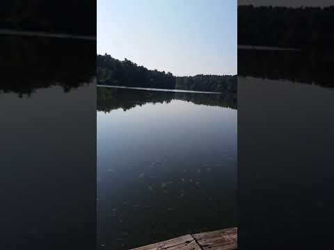Lake from pier on loop A