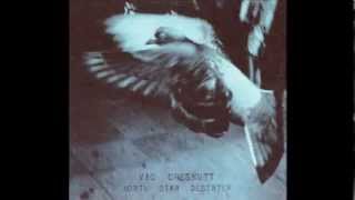 Vic Chesnutt - &quot;Everything I Say&quot;
