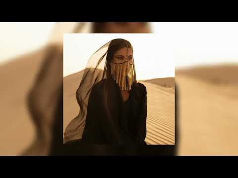 Busta Rhymes, Sherine - Sabri Aleel x I Know What You Want (TikTok remix)