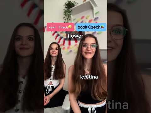 Let’s see the differences between standard and informal Czech😎 #czech #czechlanguage #learnczech