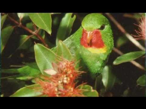 Fiji's New Banknotes and Coins