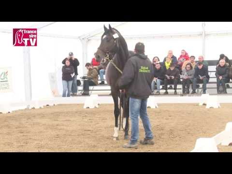 SECRET SINGER - Etalon Show du Centre-Est 2014