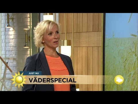 Väderspecial: "Högtid för ett mäktigt högtyck" - Nyhetsmorgon (TV4)