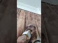 Zindagi Ka Safar Hai Ye Kaisa Safar
