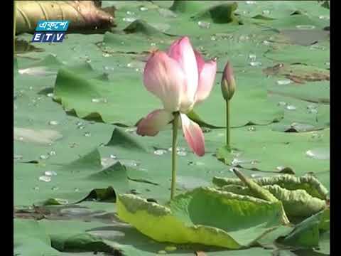 বানিজ্য সংবাদ ২১ মার্চ ২০১৮