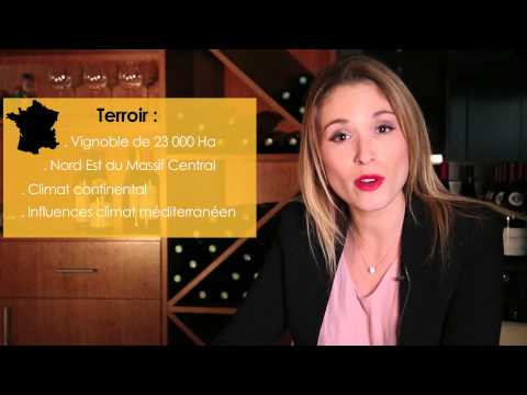 La région viticole du Beaujolais