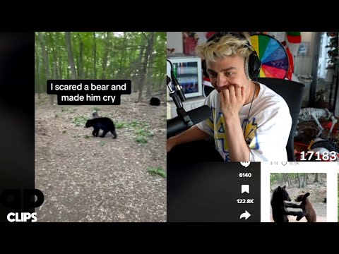 Papaplattes Plan wenn er bei 7 vs. Wild auf einen Bären trifft