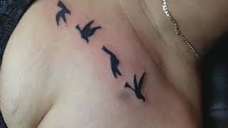 Pajaritos volando tatuaje en pecho por Boris Kuryakin, primer set, Marzo 11, 2018