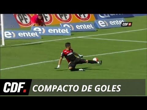 Palestino 2 - 0 Deportes Temuco  | 11° Fecha | Torneo Apertura 2016 | CDF