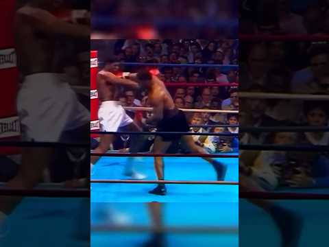 Mike Tyson Vs James Tillis 🍿HIGHLIGHTS 🍿