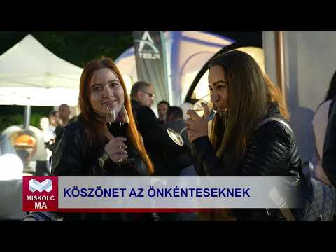 Videó előnézet