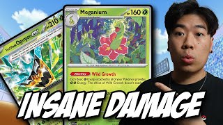 This Meganium Box Deck Might ACTUALLY Be Good | Pokémon TCG LIVE GAMEPLAY