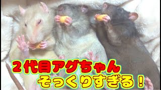 お久しぶりです！皆さん、元気にしてましたか？