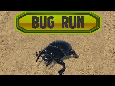 Bug Run