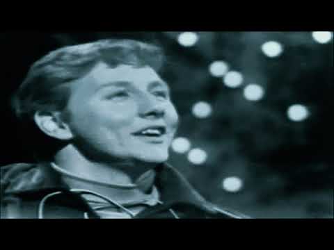 Elusive Butterfly - Bob Lind 1966 {Stereo}