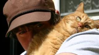 Mimicking Birds - Home and Somewhere Else