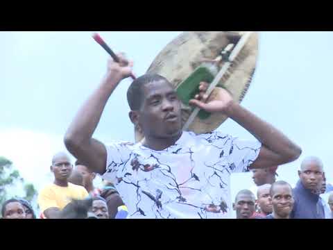 SO YOU THINK YOU CAN FIGHT - SEVEN BEATS SEVEN WARRIORS