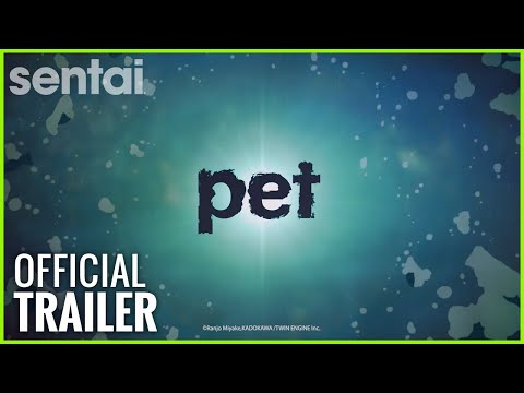 Трейлер Sentai