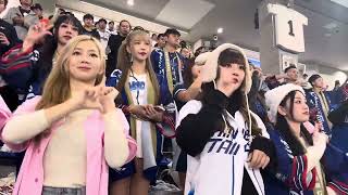 20241121 プレミア12 東京ドーム外野の台湾チア　小映 秀秀子の陳傑憲応援 #cheerleader #プレミア12 #12強