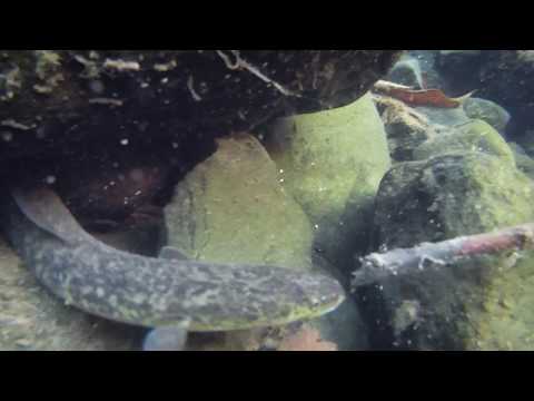 JBL Expedition Indischer Ozean 2018 - Ein Erlebnis der besonderen Art