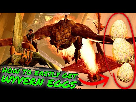 How To EASILY Get WYVERN Eggs ON Scorched Earth!!! How to Get Your First Wyvern Egg in ASA!!!
