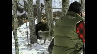 Лов на мечки 05