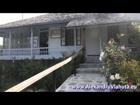 Alexandru Vlahuta - Biografie #viatasiopera #vlahuta #alexandruvlahuta #jurnal #muzeu #teatruaudio