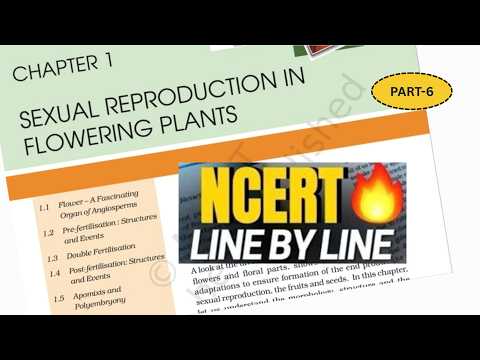 Sexual reproduction in flowering plants class 12 | Post fertilization events in plants class 12